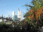 © PIA Stadt Frankfurt am Main, Foto: Karola Neder