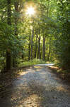 © Taunus Touristik Service e. V.